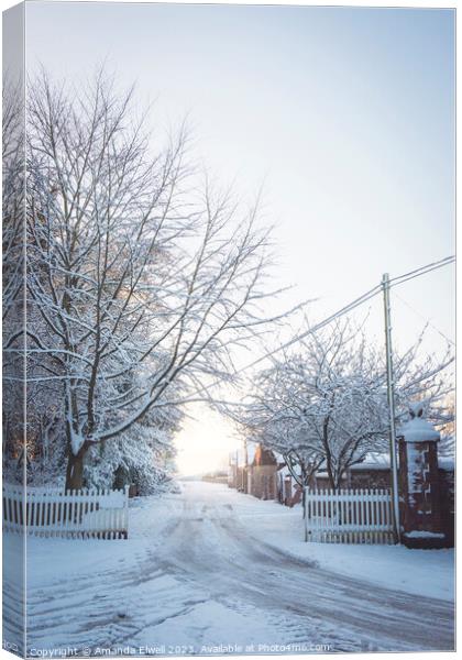Winter Lane With Snowy Fence Canvas Print by Amanda Elwell