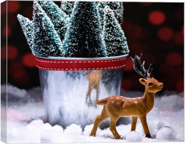 Reindeer Figure With Christmas Trees Canvas Print by Amanda Elwell