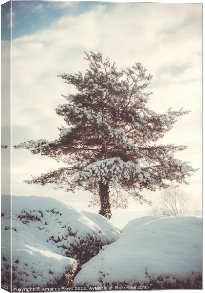 Tree In Snow Scene Canvas Print by Amanda Elwell
