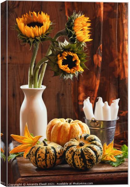 Sunflower & Gourds Still Life Canvas Print by Amanda Elwell