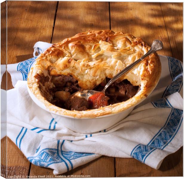 Serving Game Pie Canvas Print by Amanda Elwell