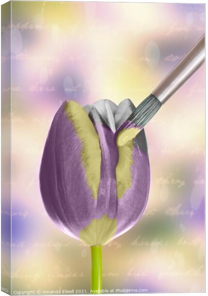 Painting A Tulip Canvas Print by Amanda Elwell