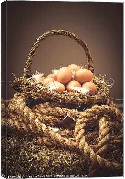 Freshly Laid Eggs Canvas Print by Amanda Elwell