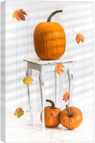 Pumpkins For Thanksgiving Canvas Print by Amanda Elwell