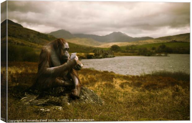 Orangutan With Smart Phone Canvas Print by Amanda Elwell