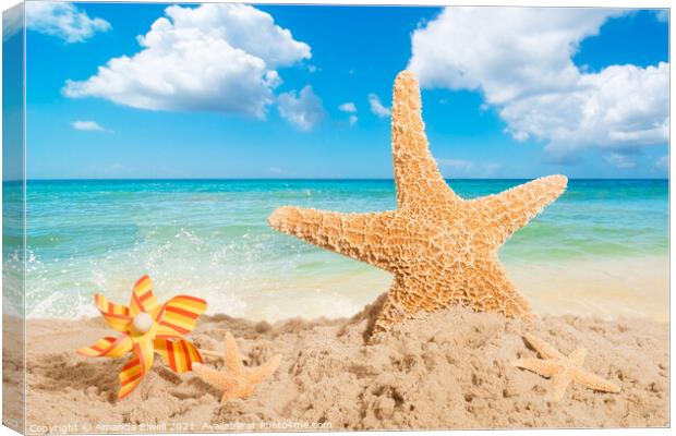 Starfish Canvas Print by Amanda Elwell