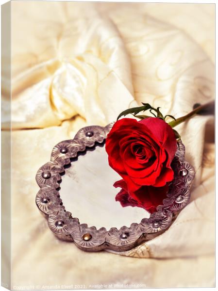 Red Rose On Mirror Canvas Print by Amanda Elwell