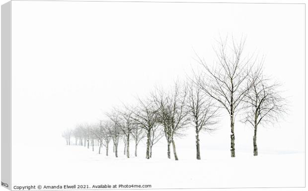 Tree Line In Snow Canvas Print by Amanda Elwell
