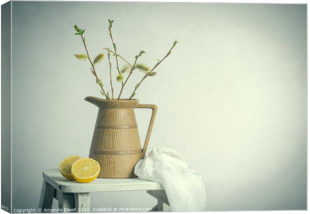 Spring Still Life Canvas Print by Amanda Elwell