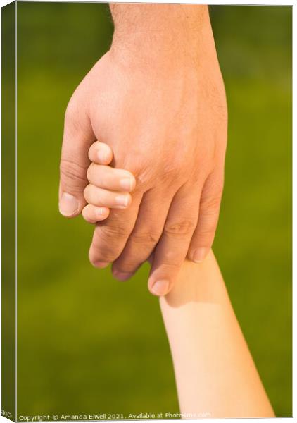 Holding Hands Canvas Print by Amanda Elwell