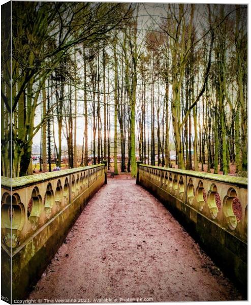 River Bridge leading to the woods Canvas Print by Tina Veeranna