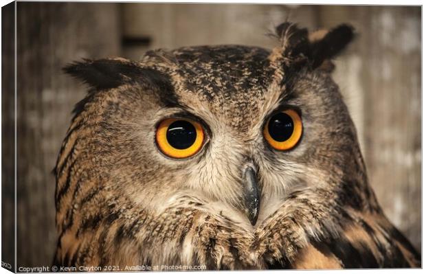 Eagle Owl Canvas Print by Kevin Clayton