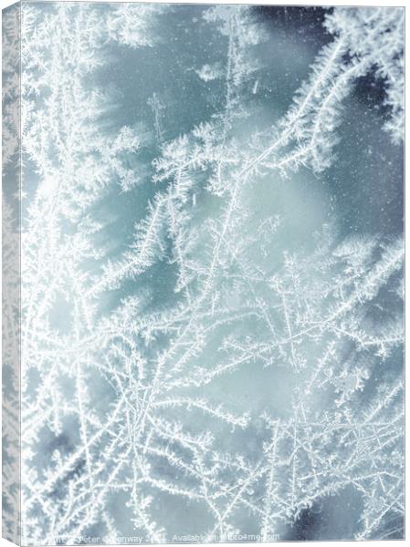 Frost Fractal Patterns On A Pane Of Glass Canvas Print by Peter Greenway