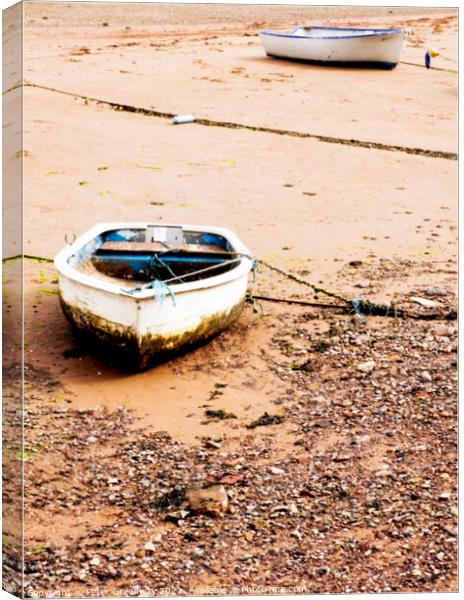 Moored Rowing Boats Beached At Low Tide In Shaldon, Devon Canvas Print by Peter Greenway