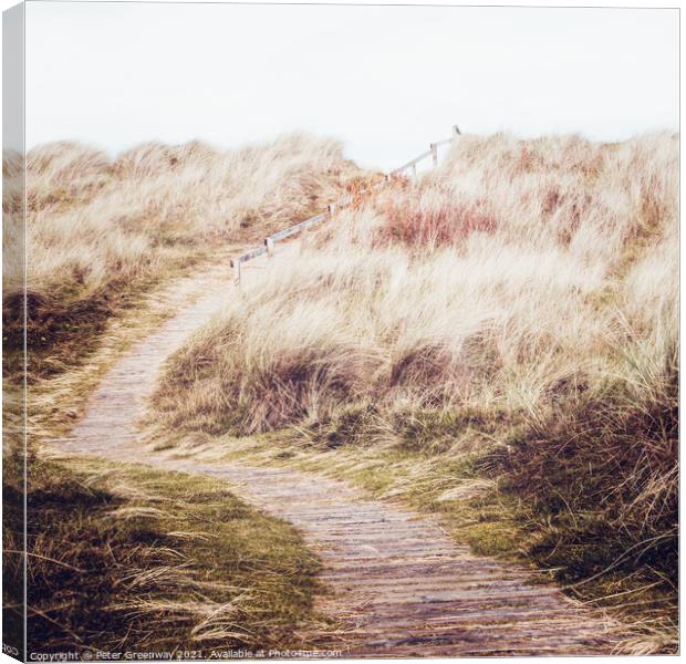 Winding Path To Findhorn Beach, Scottish Highlands Canvas Print by Peter Greenway