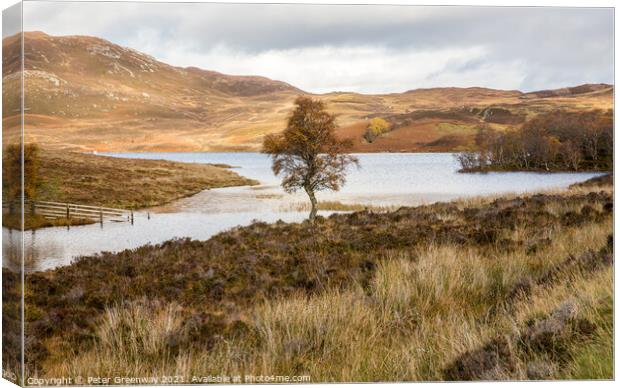 A Lone Tree At Loch Tarff, Scottish Highlands Canvas Print by Peter Greenway