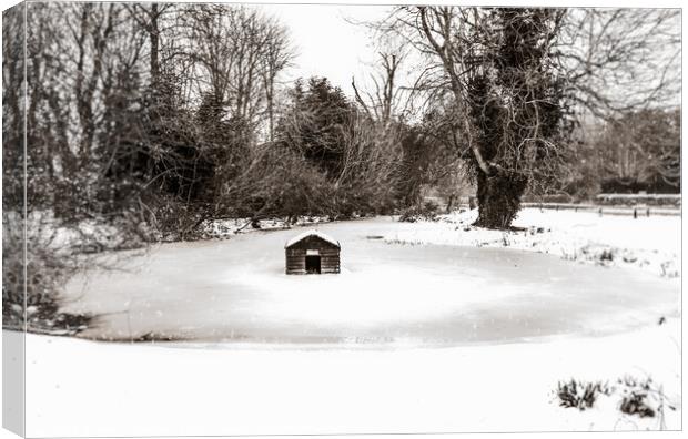 Frozen Village Duckpond & Duckhouse In Bucknell, O Canvas Print by Peter Greenway