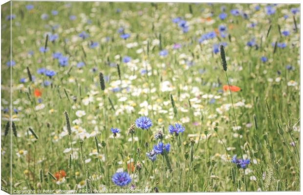 English Flower Meadow At Snowshill Canvas Print by Peter Greenway