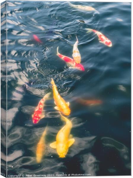 Koi Fish -  Nan Lian Gardens, Hong Kong Canvas Print by Peter Greenway