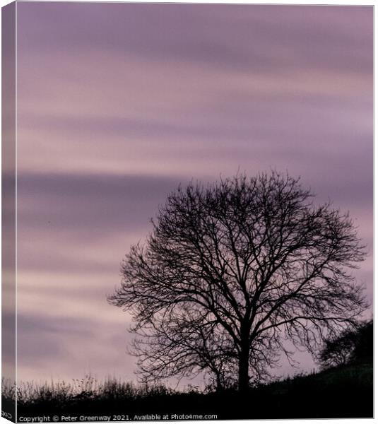 The Silhouette Of A Lone Bare During Winter In Rural Oxfordshire Canvas Print by Peter Greenway