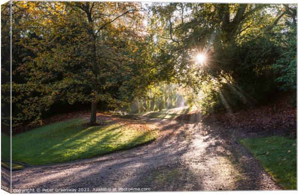 Sun Shining Through Autumn Trees On The Waddesdon Estate Canvas Print by Peter Greenway