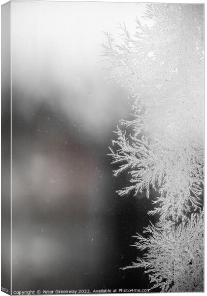 Frost Fractal Patterns On A Pane Of Glass After A Haw Frost Canvas Print by Peter Greenway