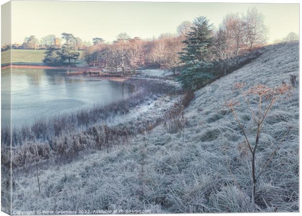 Frosty Morning At Blenheim    Canvas Print by Peter Greenway