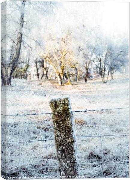 Frozen Moss Covered Fencing Post On The Roadside In The Scottish Canvas Print by Peter Greenway
