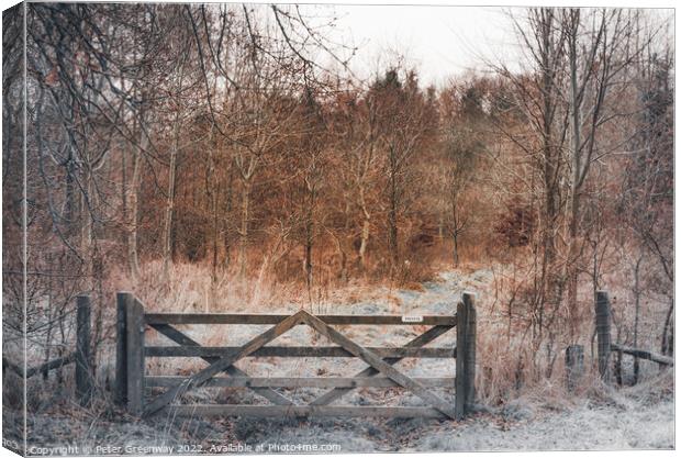 English Winter Woodland in the Frost with Wooden G Canvas Print by Peter Greenway