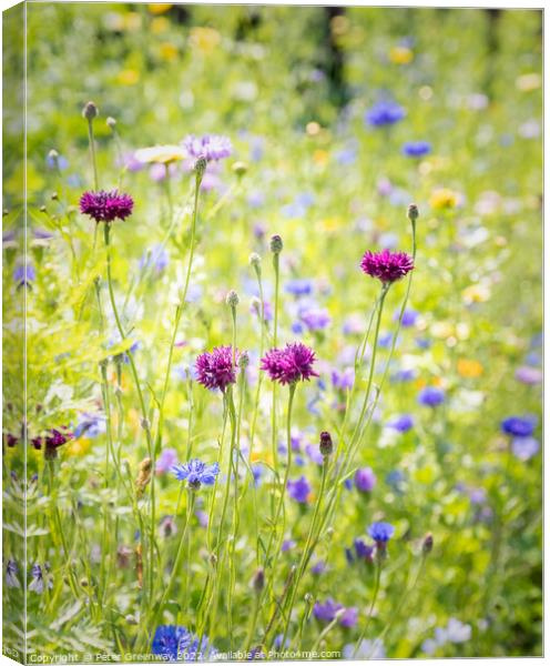 Wild English Meadow Flowers At Tatton Park, Cheshire Canvas Print by Peter Greenway
