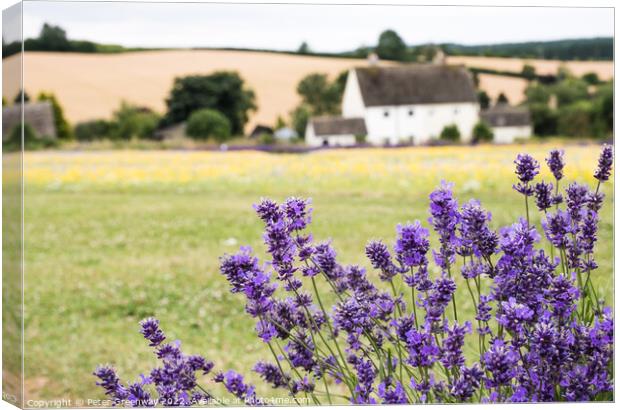 Cotswold Lavender & Wild Flower Meadows At Snowshill, Worcesters Canvas Print by Peter Greenway