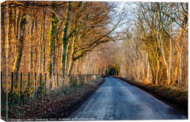 The Road To Chastleton House At Sunset Canvas Print by Peter Greenway