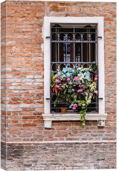 Flowers In A Window Overlooking One The Back Stree Canvas Print by Peter Greenway