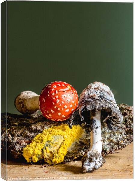 Fly Agaric, Yellow Dog Slime, Ink Cap Mushroom Still Life Canvas Print by Peter Greenway