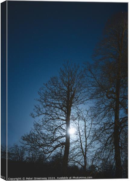 Bare Trees In Winter Illuminated By Moonlight Canvas Print by Peter Greenway