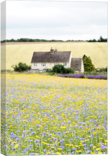 Field Of English Meadow Flowers In The Cotswolds A Canvas Print by Peter Greenway
