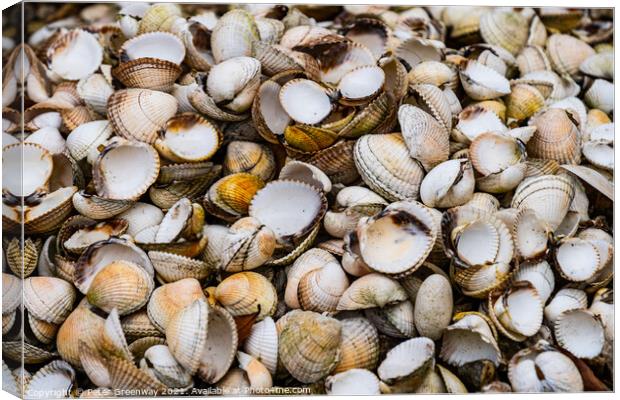 A Pile Of Sea Shells On A Beach In Devon Canvas Print by Peter Greenway