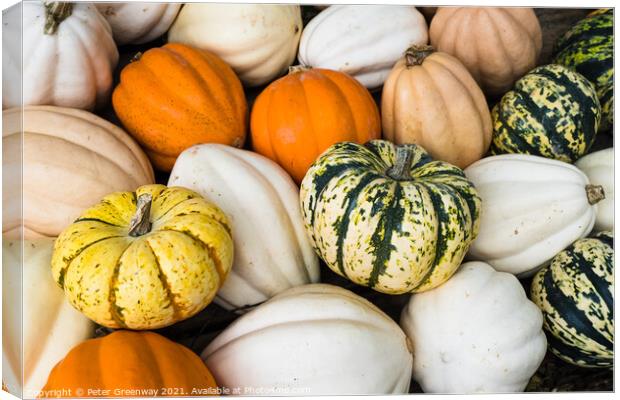 Colourful Gourds & Pumpkins On Sale In An Amish Store In Tennessee Canvas Print by Peter Greenway