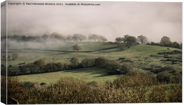 Misty Views Canvas Print by Paul Harwood-Browne