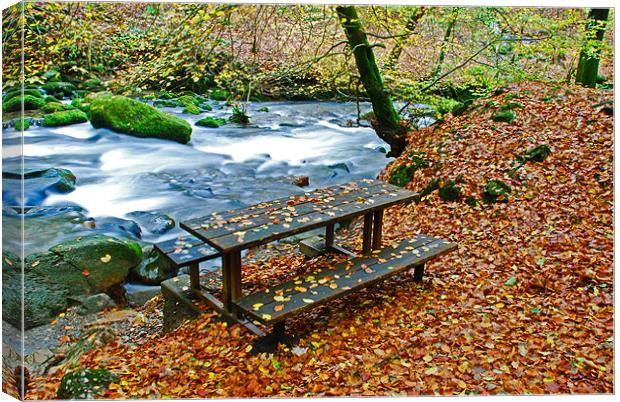 Autumn Leaves Canvas Print by Gö Vān