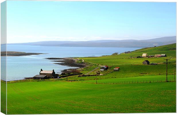 Orkney Island 2 Canvas Print by Gö Vān