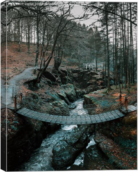 Rope bridge Hafod  Estate Canvas Print by Darkon London-Wainwright