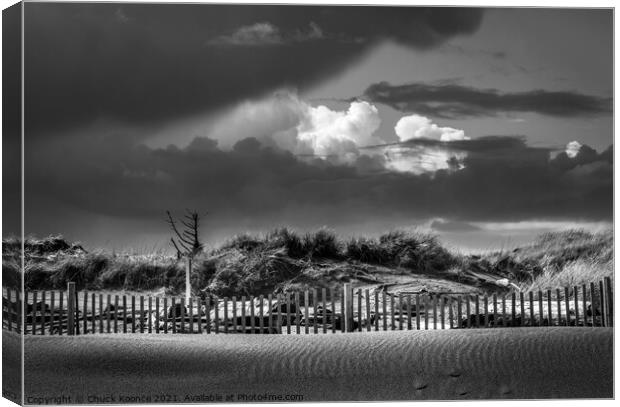 Fence on the Beach Canvas Print by Chuck Koonce