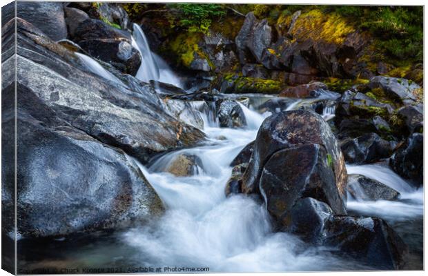 Mountain Stream Canvas Print by Chuck Koonce