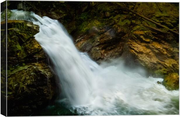 Raging Falls Canvas Print by Chuck Koonce