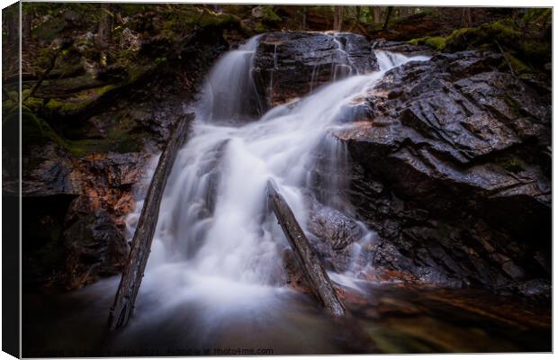 Small waterfall in the forest Canvas Print by Chuck Koonce