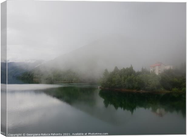 Outdoor waterside and fog .Romania 2019 Canvas Print by Georgiana Raluca Pahontu