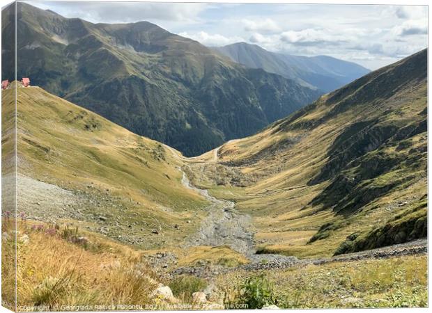 Outdoor mountain. Romania Canvas Print by Georgiana Raluca Pahontu