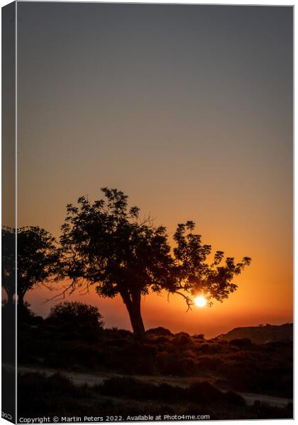 Cypriot Sunset Tree Canvas Print by Martin Yiannoullou