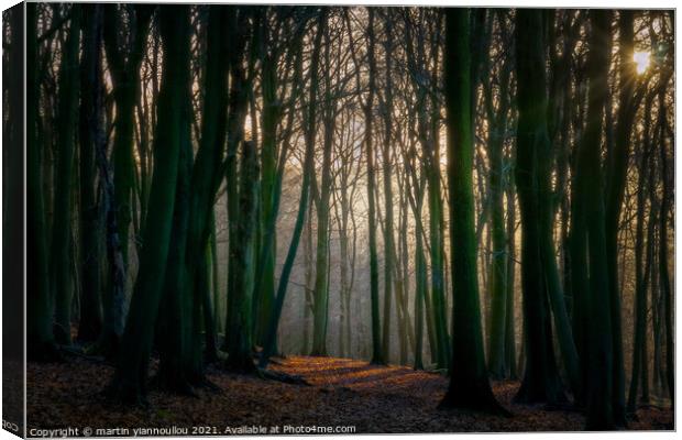 Winters Enchantment Canvas Print by Martin Yiannoullou